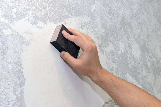 Mold Documentation for Insurance Claims in Upper Brookville, NY