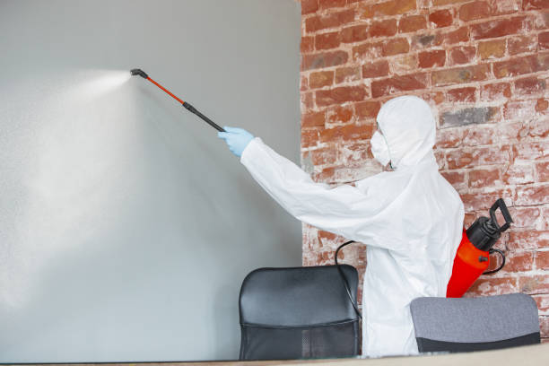 Best Post-Remediation Verification Testing  in Upper Brookville, NY