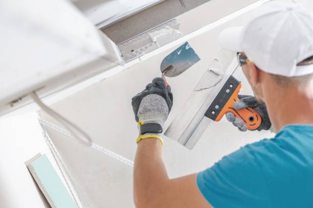 Best Mold Documentation for Insurance Claims  in Upper Brookville, NY